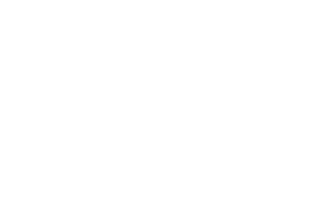 FOX_logo-white