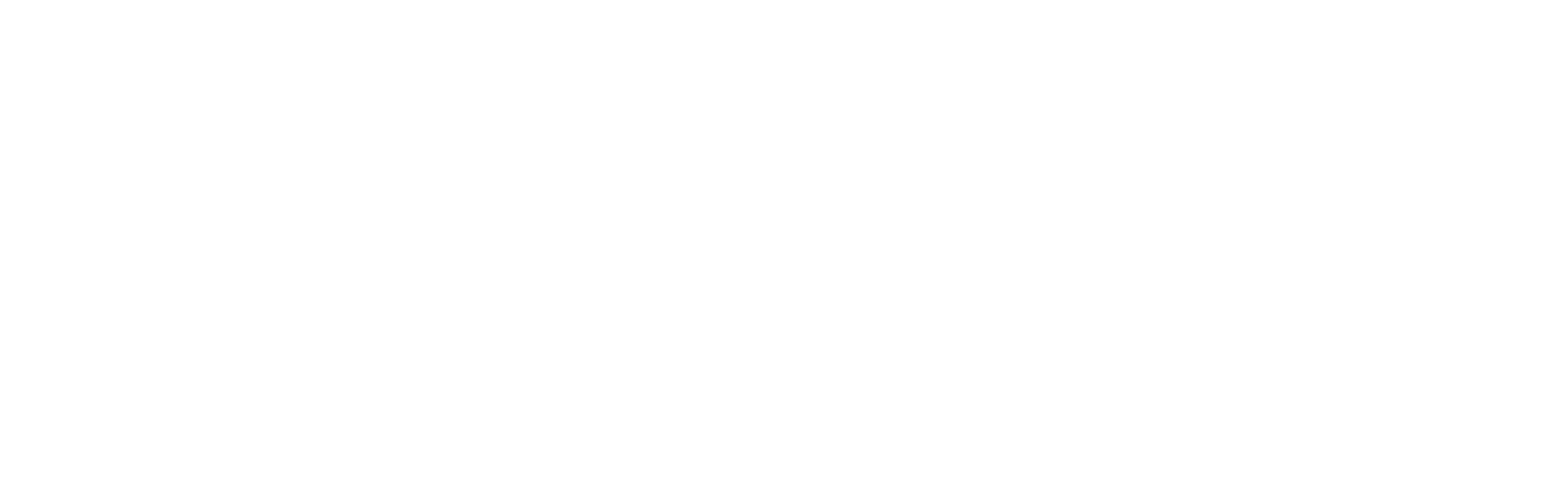 BDS Performance Towing